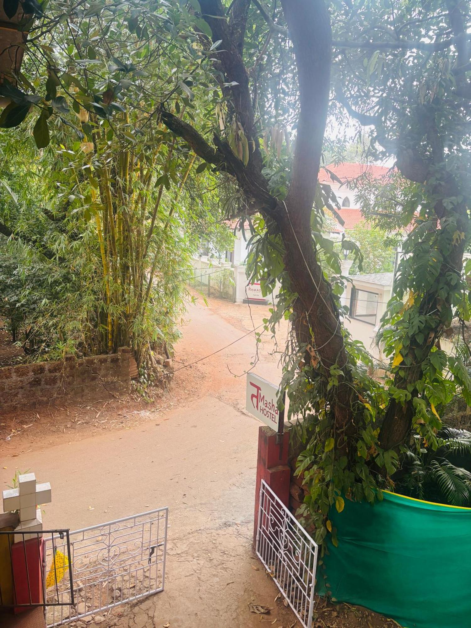 Tamasha Goa Vagator Hostel Buitenkant foto